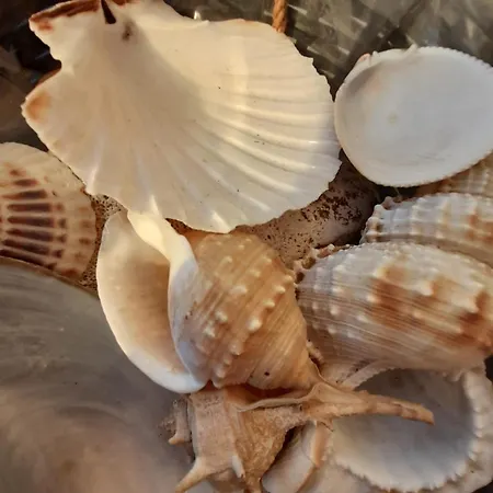 Case de vacanță Deluxe H - Private Jacuzzi Novi Vinodolski